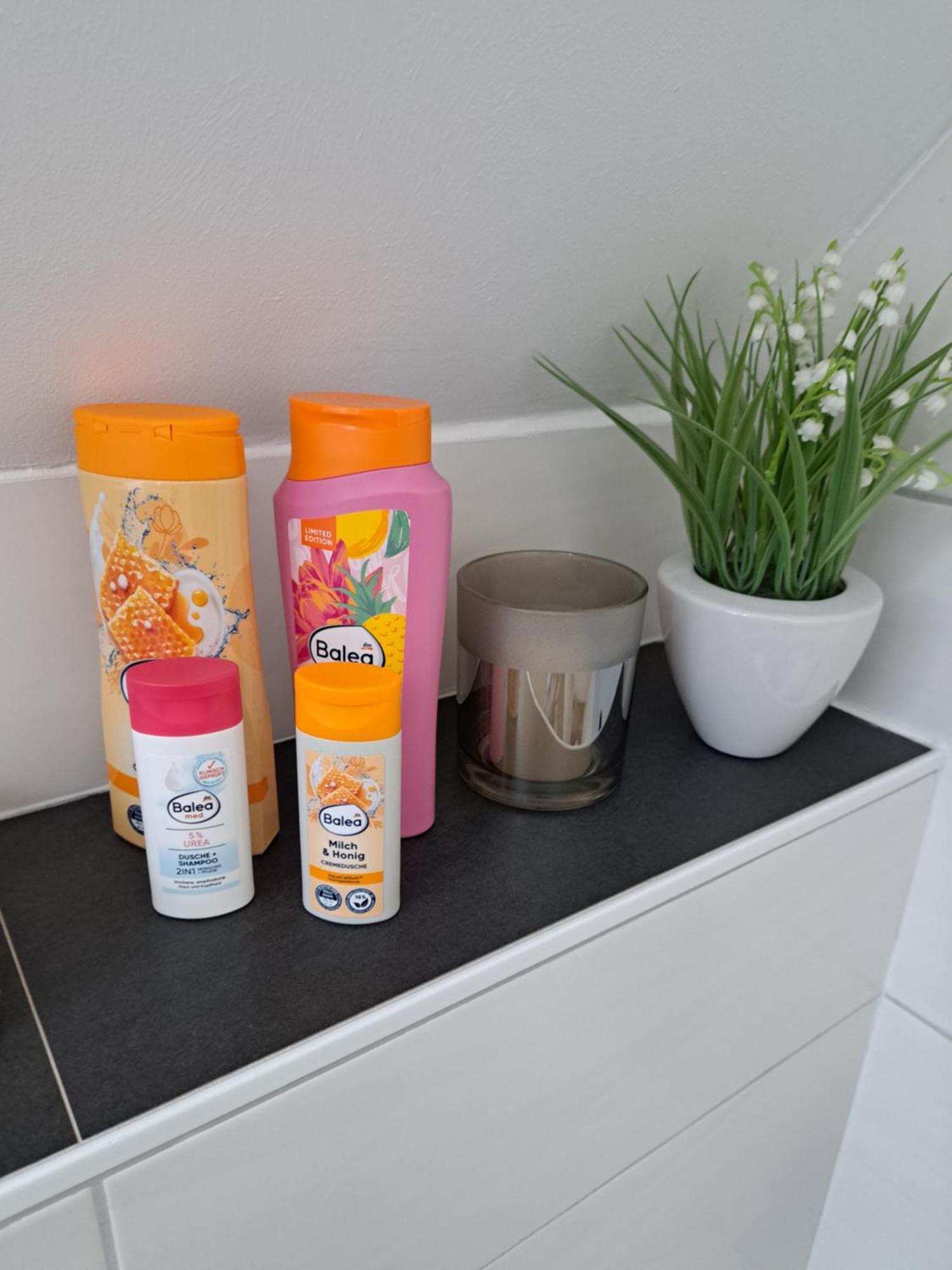 Wunderschoenes 2 Zimmer Apartment Inkl. Parkplatz Asbach  Buitenkant foto